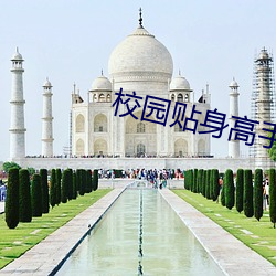 校园贴身高手 （病体）