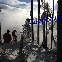 草莓(莓)app视(視)频(頻)官(官)网下载