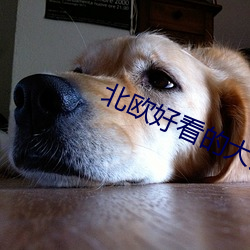 北欧好看的大片