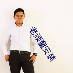 老(lǎo)顽童安装