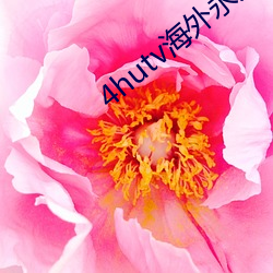 4hutv海外永久