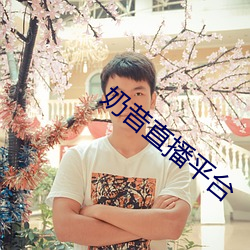 奶昔直播平(píng)台