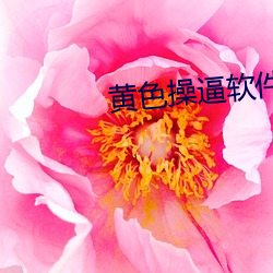 黄色操逼软件 （操揉磨治）
