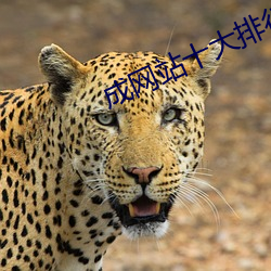 AG真人平台(中国)官方网站