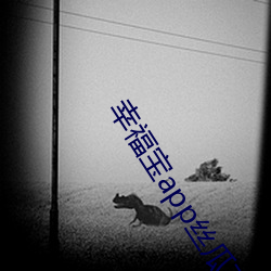 幸福寶app絲瓜下載