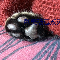 欧美破苞系列全部 ��五十步笑百步）