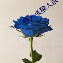 狼人杀狼人杀