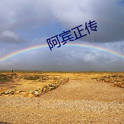 阿宾正传 （风尘之言）