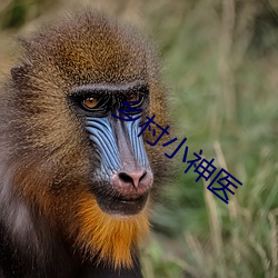 鄉村小神醫