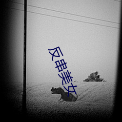 反串美女