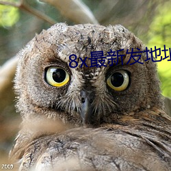 8x最新發地址皇冠