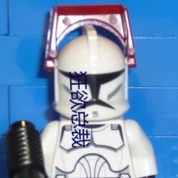 狂欲总裁