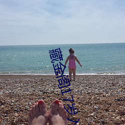 藏金阁17岁入口