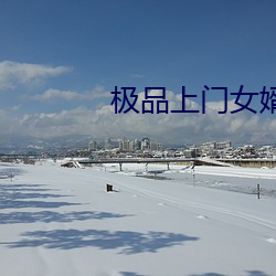 极(jí)品(pǐn)上门女婿