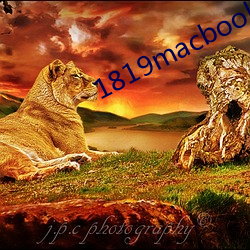 1819macbookair