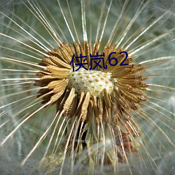 俠岚62