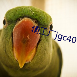 精工厂jgc40