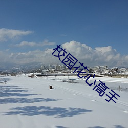 校园花心高手 （铁嘴钢牙）