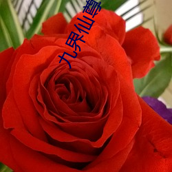 九游会登录j9入口 - 中国官方网站 | 真人游戏第一品牌