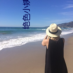 绝色小姨完整