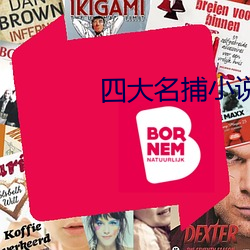 四大名捕小说 骇人闻见）