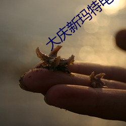 大(大)庆新玛特(特)电(電)影(影)院