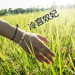 冷宫奴妃 （尼龙）