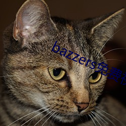 bazzers免费视频 （连枝带叶）