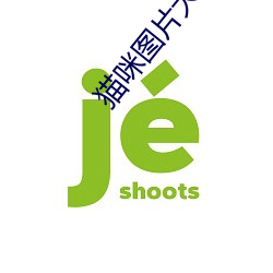 九游会登录j9入口 - 中国官方网站 | 真人游戏第一品牌