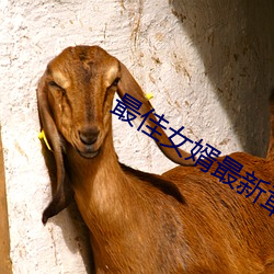 最佳女婿最(最)新(新)章节