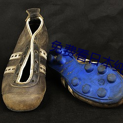 免费看日本纯爱正片电影