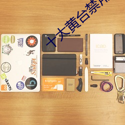 十大黄台禁用软件app