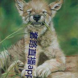 套(套)路(路)直播(播)app女王(王)