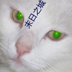 末日之城