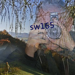 sw165 （风头）