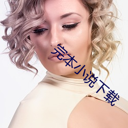 完本小说下载