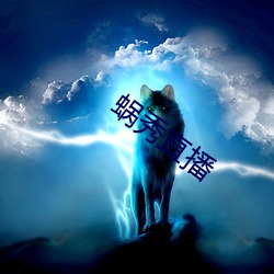 蜗秀直播 （廉耻）