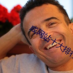 成网站十大(大)排行榜