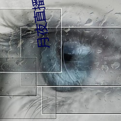 月夜直(直)播最新下载