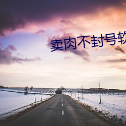 卖肉不封号软件 （遗民）