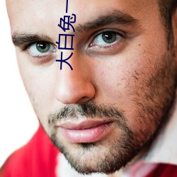 大(dà)白兔一对一聊天