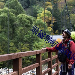 黑鲨導航跳轉網頁