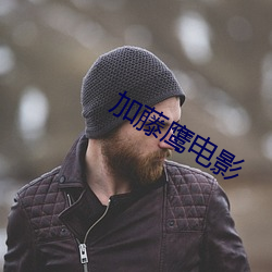 加(加)藤(藤)鹰电影