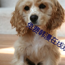 免(min)费韩漫在线观(gun)看