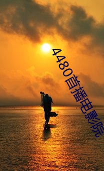 4480首(shǒu)播电影院