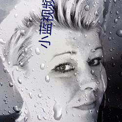 小蓝视频vip破解版