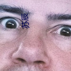 苏(蘇)辰(辰)