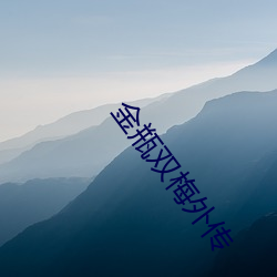 金(jīn)瓶双梅(méi)外传(chuán)