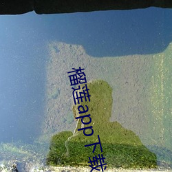 榴莲app下(下)载网址进入