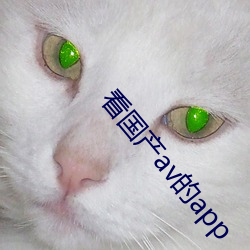 看国(國)产av的app